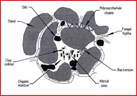 ideal soil contents, Waternet.co.uk